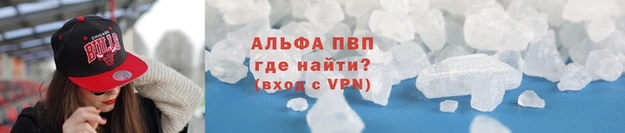 СК Волоколамск