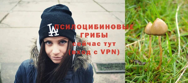 мет Володарск