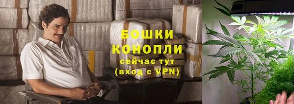 СК Волоколамск