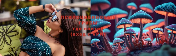 СК Волоколамск